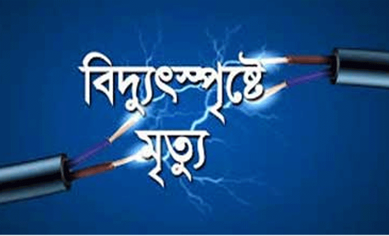 জামালপুরে বিদ্যুৎস্পৃষ্টে দুই ভাইয়ের মৃত্যু